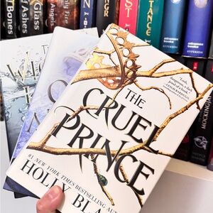 The Cruel Prince Book by Holly Black